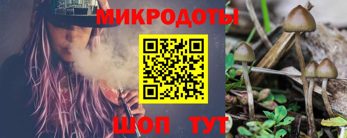 как найти закладки  Галлюциногенные грибы мухоморы  Благовещенск  Вход с VPN  Псилоцибиновые грибы Cubensis 