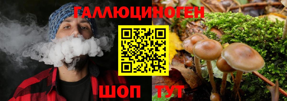 Галлюциногенные грибы мицелий Благовещенск